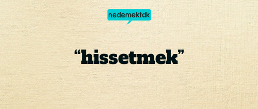 “hissetmek”