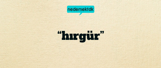 “hırgür”