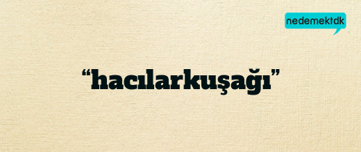 “hacılarkuşağı”