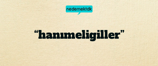 “hanımeligiller”