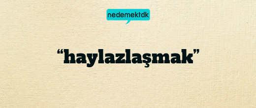 “haylazlaşmak”