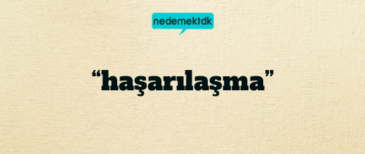 “haşarılaşma”