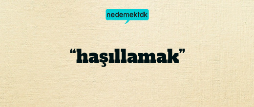 “haşıllamak”