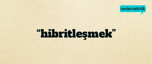 “hibritleşmek”