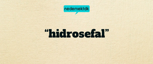 “hidrosefal”