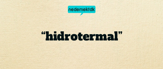 “hidrotermal”