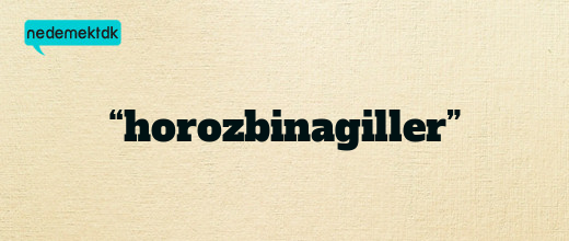 “horozbinagiller”