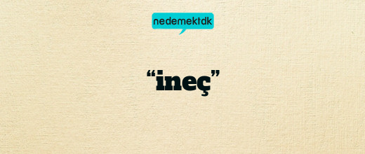 “ineç”