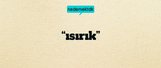 “ısırık”