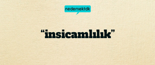 “insicamlılık”