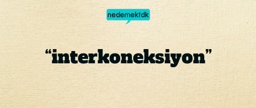 “interkoneksiyon”