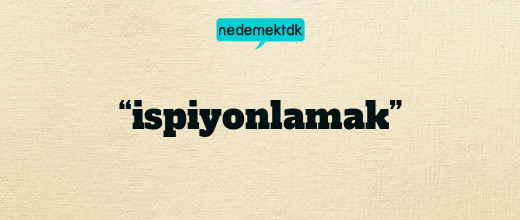 “ispiyonlamak”