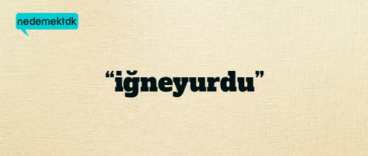 “iğneyurdu”