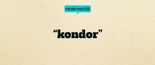 “kondor”