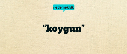 “koygun”