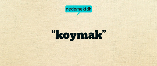 “koymak”