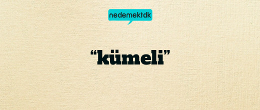 “kümeli”