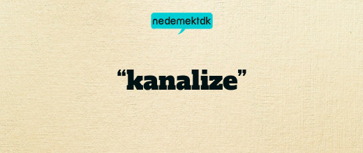 “kanalize”