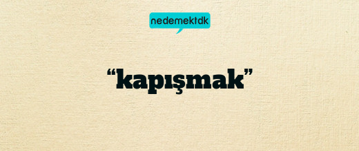 “kapışmak”