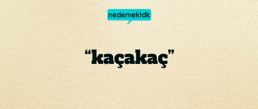 “kaçakaç”