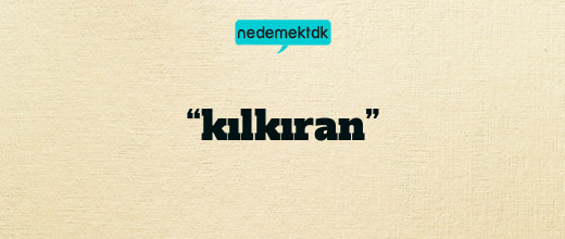 “kılkıran”