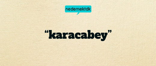 “karacabey”