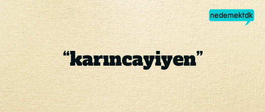 “karıncayiyen”