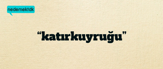 “katırkuyruğu”