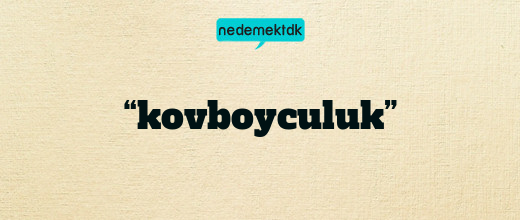 “kovboyculuk”