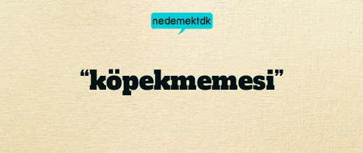 “köpekmemesi”