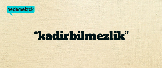 “kadirbilmezlik”