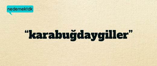 “karabuğdaygiller”