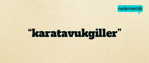 “karatavukgiller”