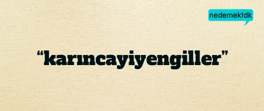 “karıncayiyengiller”