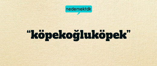 “köpekoğluköpek”