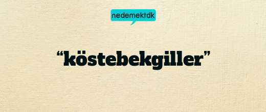 “köstebekgiller”