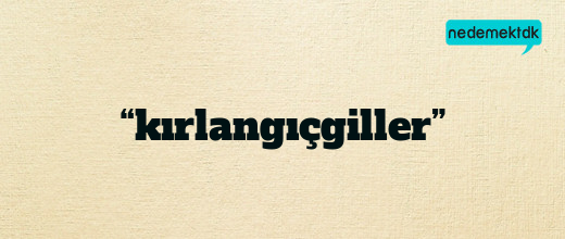 “kırlangıçgiller”