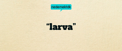 “larva”