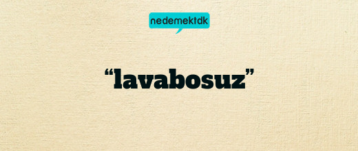 “lavabosuz”