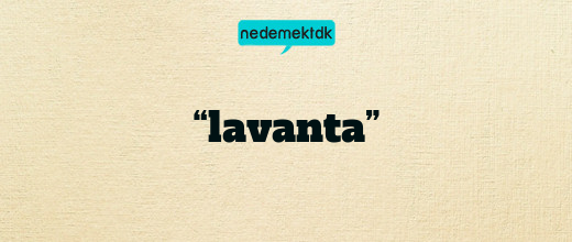 “lavanta”