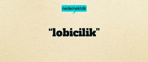 “lobicilik”