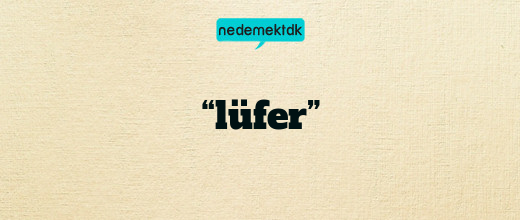 “lüfer”