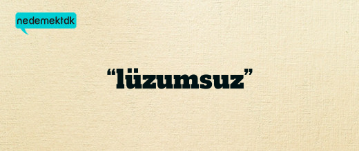 “lüzumsuz”