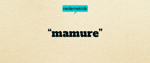 “mamure”
