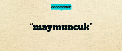 “maymuncuk”
