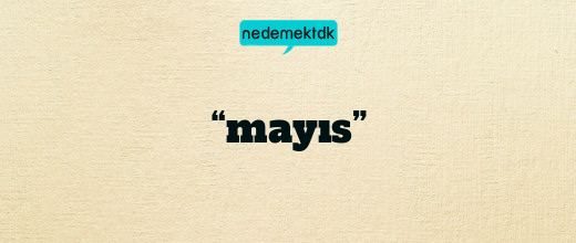 “mayıs”