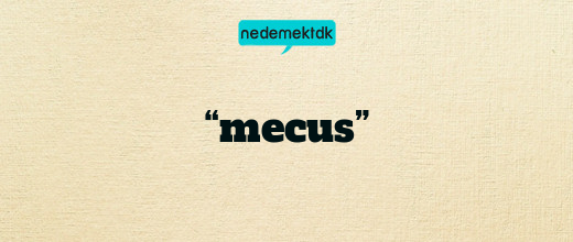 “mecus”