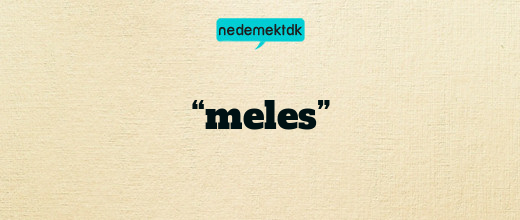 “meles”