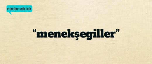 “menekşegiller”