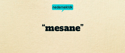 “mesane”